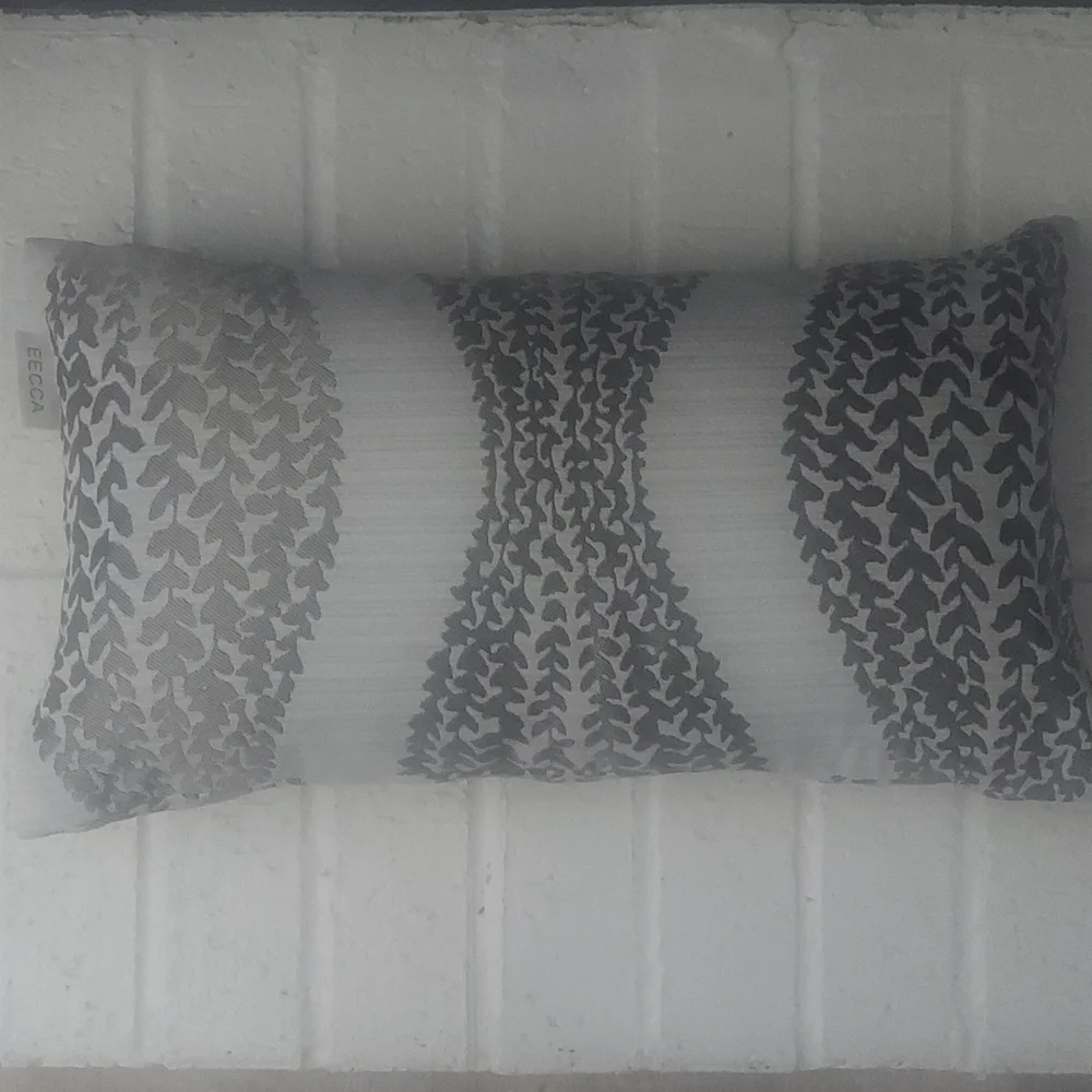 Set (2) EECCA Decorative Pillow Covers